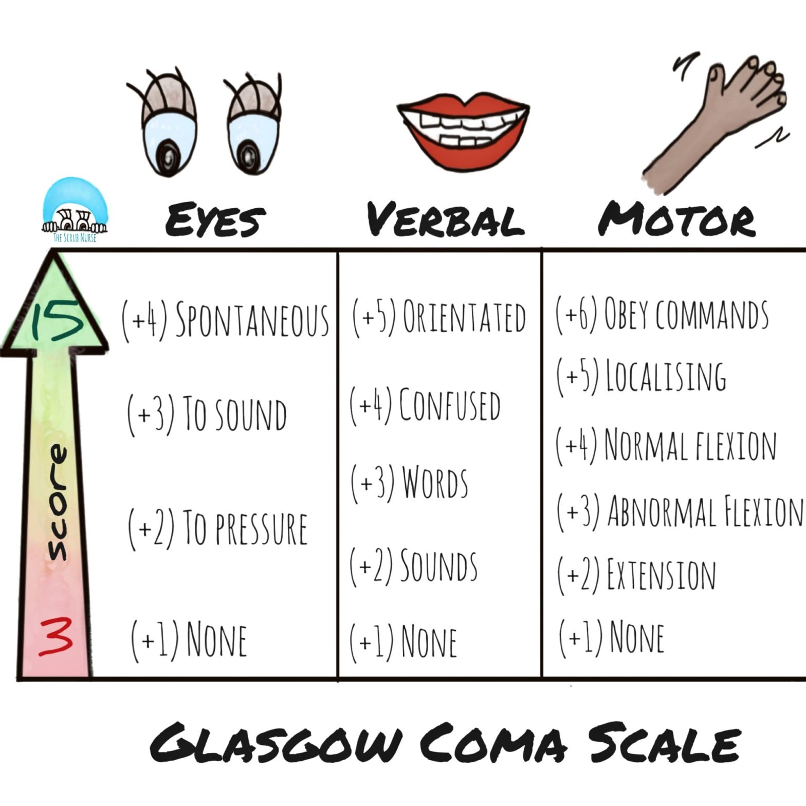 verbal expression scale chart Glasgow coma scale assessment