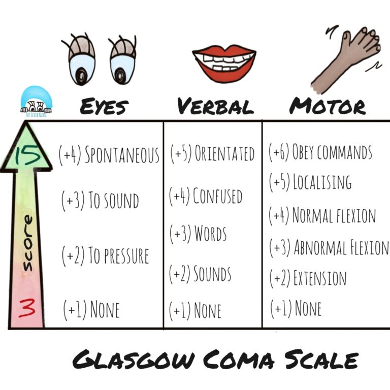 Read more about the article Escala de coma de Glasgow, está tudo bem?